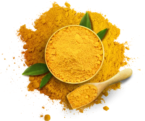 Turmeric Powder Bowl and Spoon PNG
