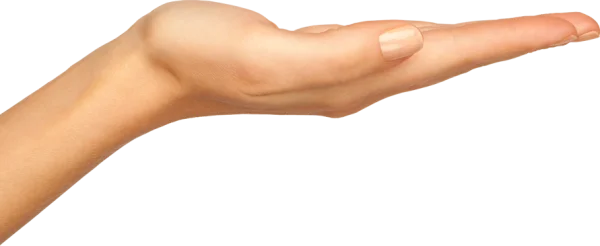 Open Hand Palm Up PNG Transparent Background