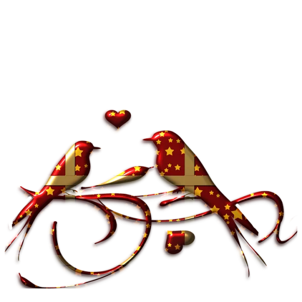 Festive Starry Love Birds PNG Transparent