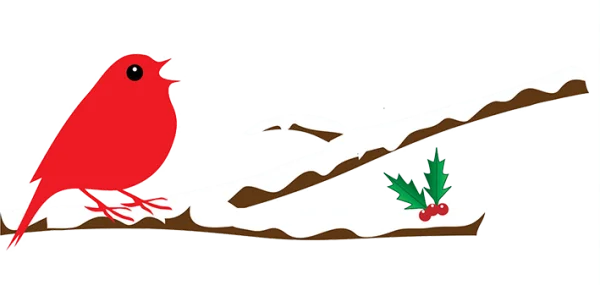 Red Robin on Snowy Branch with Holly PNG Transparent