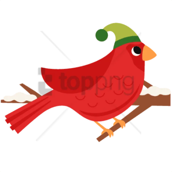 Cute Red Cardinal Bird with Santa Hat PNG