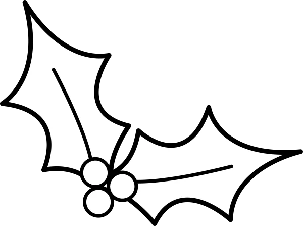 Christmas Holly Leaves and Berries Outline PNG