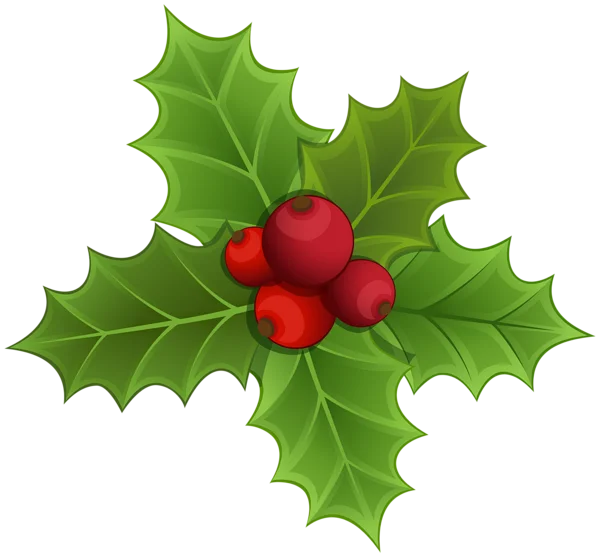 Christmas Holly and Berries PNG Transparent Background