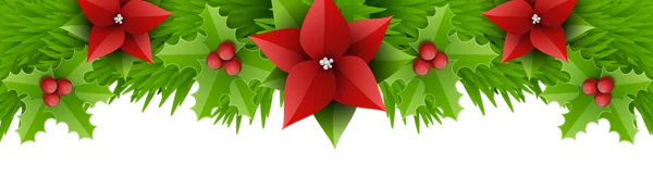 Christmas Poinsettia and Holly Garland PNG
