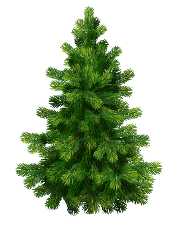 Christmas Tree PNG Transparent Background