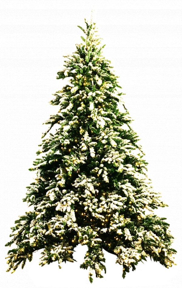 Snowy Christmas Tree with Lights PNG Transparent