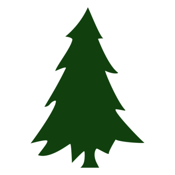 Simple Green Pine Tree PNG Transparent Background