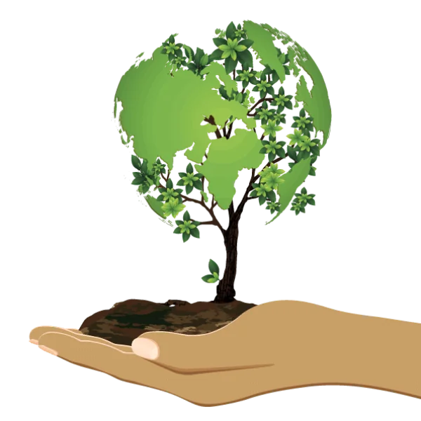 Green Earth Tree in Hand PNG Transparent Background