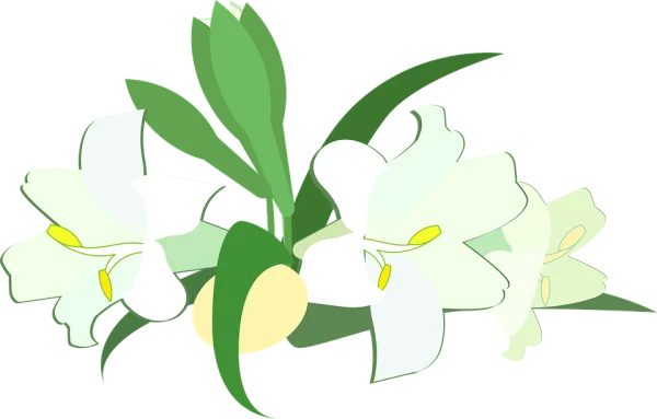 White Lilies Bouquet PNG Transparent Background