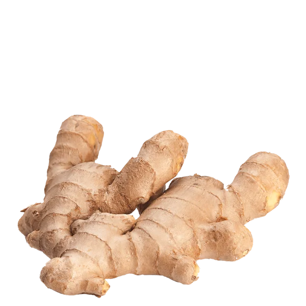 Fresh Ginger Root PNG Transparent Background