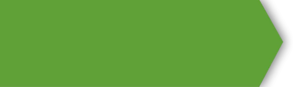 Green Banner Shape PNG Transparent Background