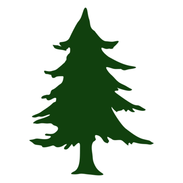 Dark Green Pine Tree Silhouette PNG Transparent Background