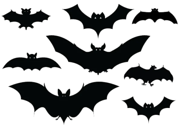 Halloween Flying Bat Silhouettes PNG