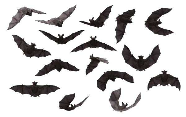 Flying Bats Group PNG Transparent Background