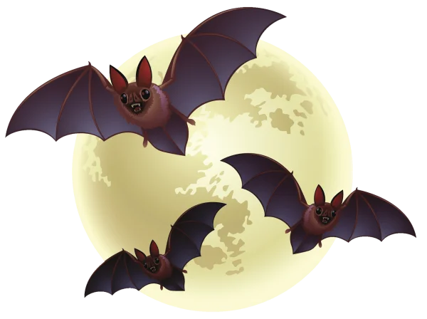 Cute Bats Flying with Full Moon PNG Transparent Background