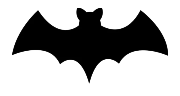 Bat Silhouette PNG Transparent Background