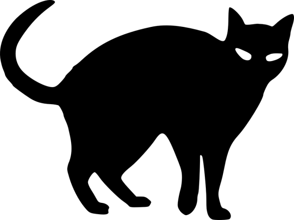 Solid Black Screen PNG