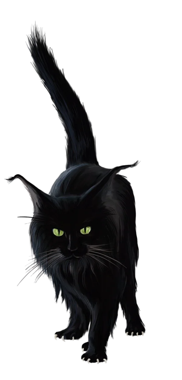 Black Cat with Green Eyes PNG Transparent Background