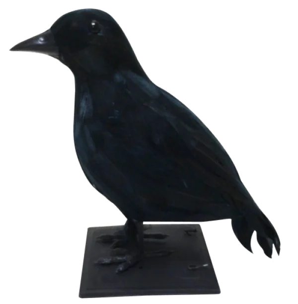 Black Bird Figurine PNG Transparent Background