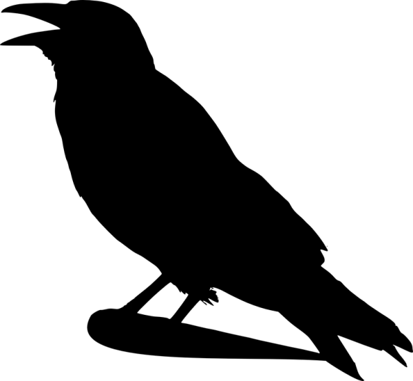 Completely Transparent PNG Blank Background