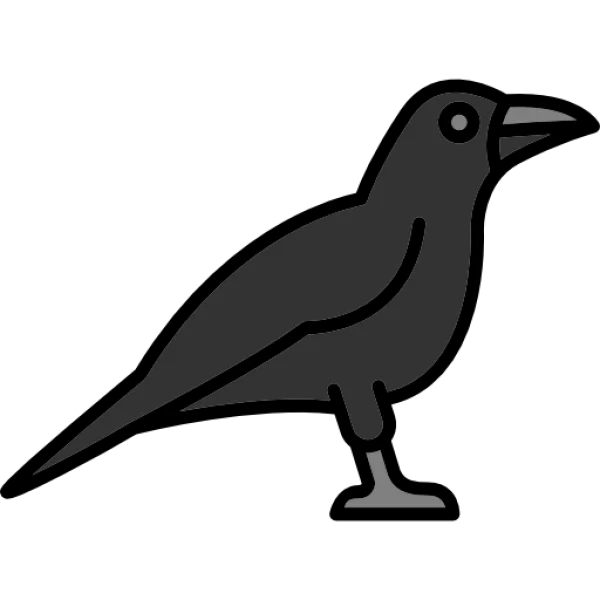Black Crow Icon PNG Transparent Background