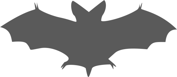 Flying Bat Silhouette PNG Transparent Background