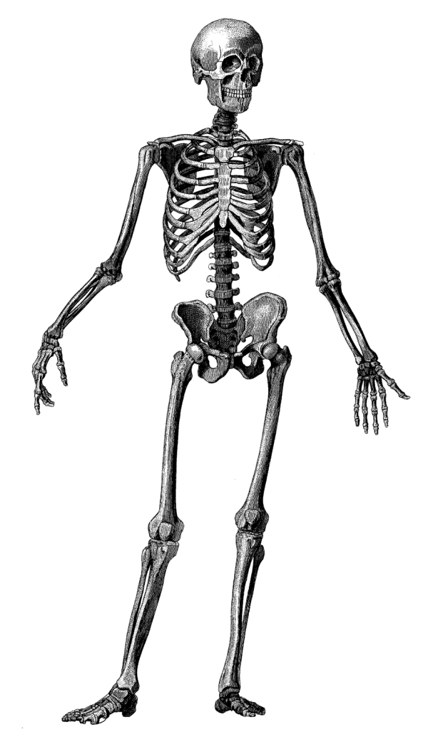 Solid Black Background PNG Transparent