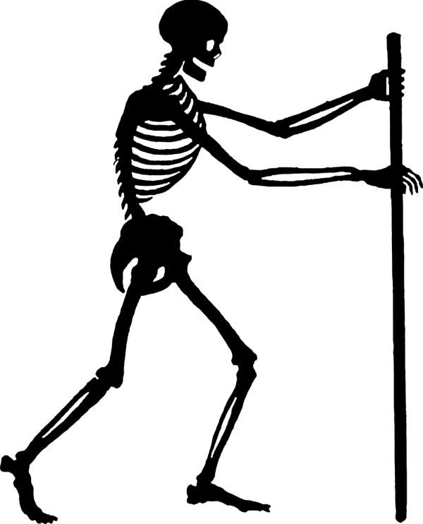 Empty Transparent PNG Blank Background