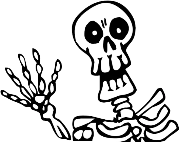 Cartoon Skeleton Graphic PNG Transparent