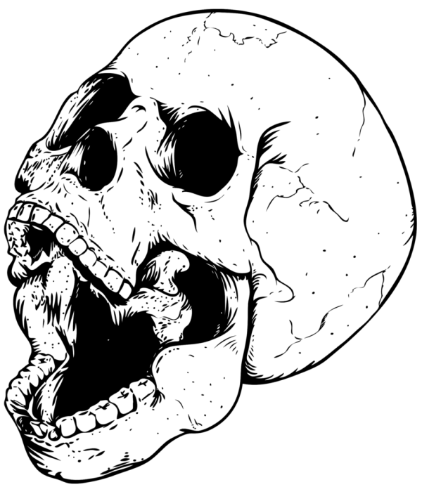 Solid Black Rectangle PNG
