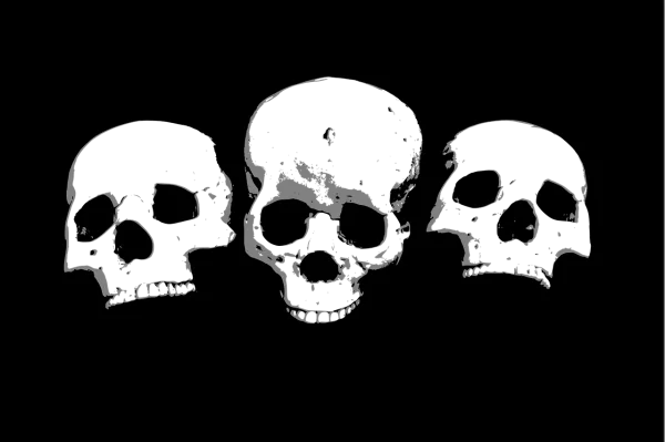 Three Grayscale Skulls PNG Transparent Background