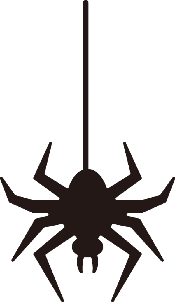 Black Spider Hanging PNG Transparent Background