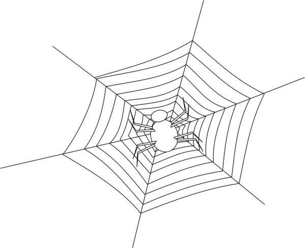 Simple White Spider Icon PNG Transparent Background