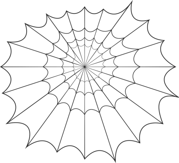 Spider Web Transparent Background PNG