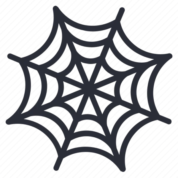 Outline Spider Web Icon Transparent PNG