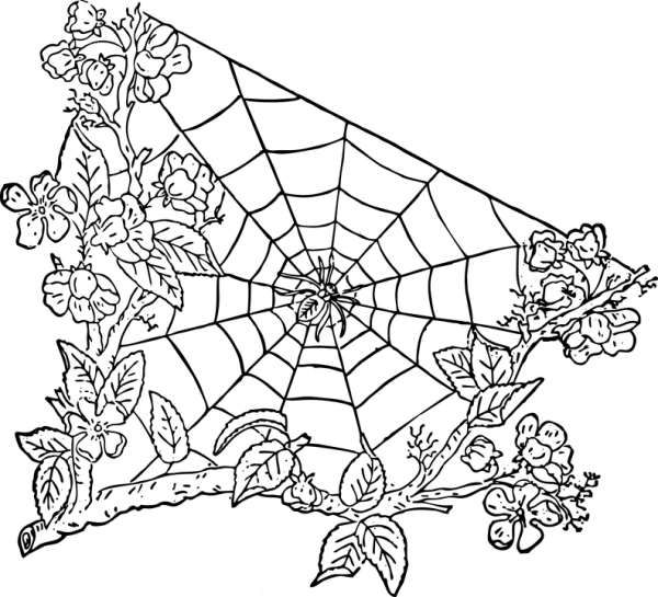 Completely Transparent PNG Blank Canvas