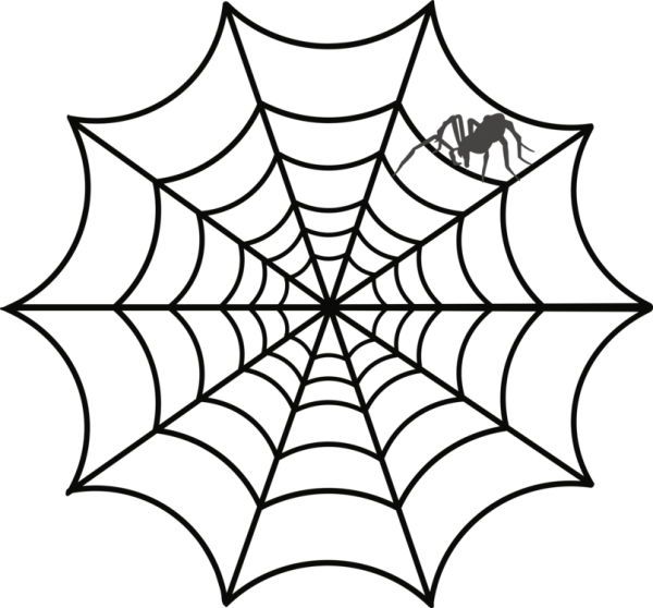 Spider Web with Spider Transparent PNG