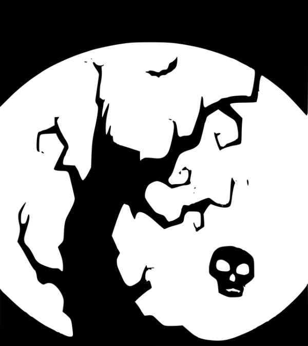 Blank Transparent PNG Image