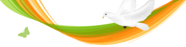 White Dove Flying with Green Orange Abstract Ribbons PNG
