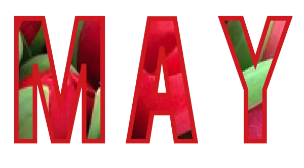 MAY Floral Text Transparent Letters PNG