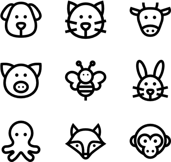 Empty Transparent PNG Placeholder