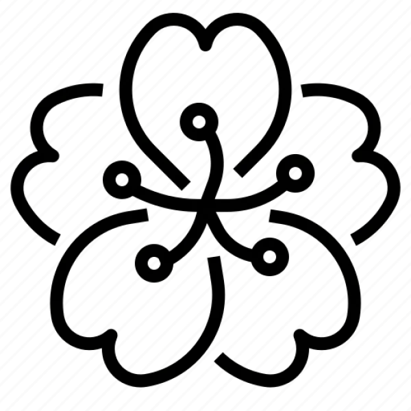 Hibiscus Flower Outline Icon Transparent PNG