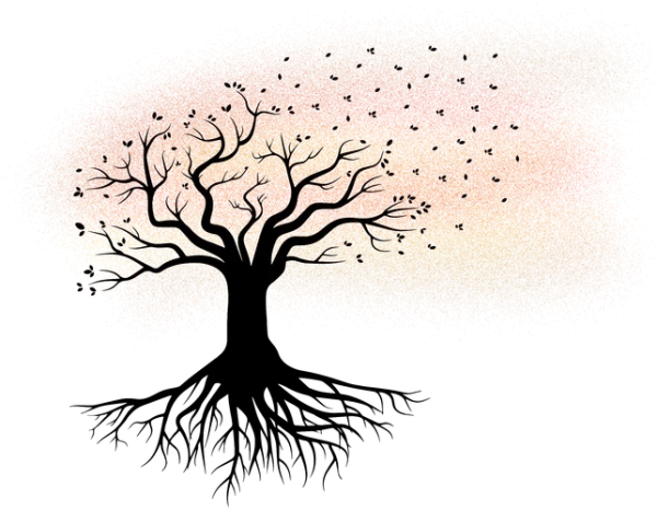 Artistic Autumn Tree Silhouette PNG