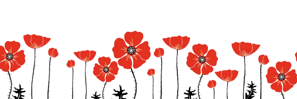 Stylized Red Poppy Flowers Border PNG