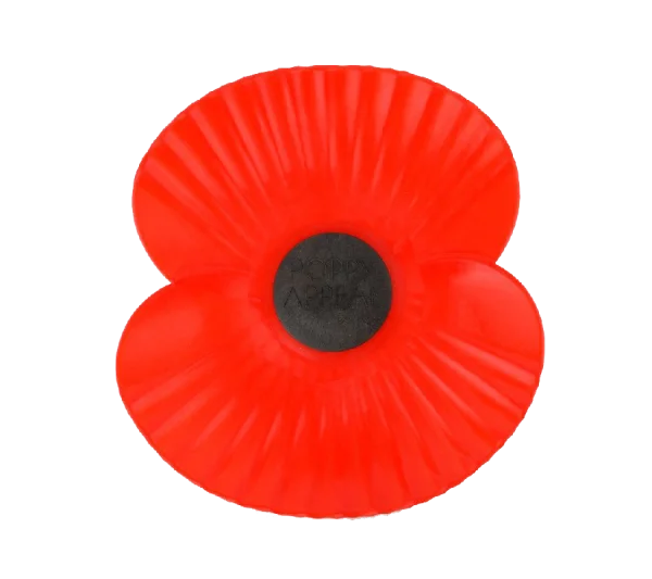 Remembrance Day Poppy PNG Transparent Background