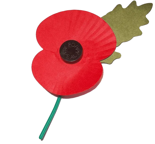Remembrance Poppy PNG Transparent Background