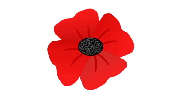 Red Poppy Flower PNG Transparent Background