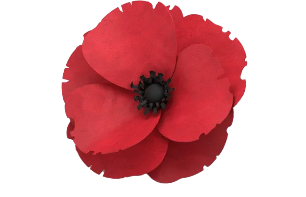 Red Poppy Flower PNG Transparent Background
