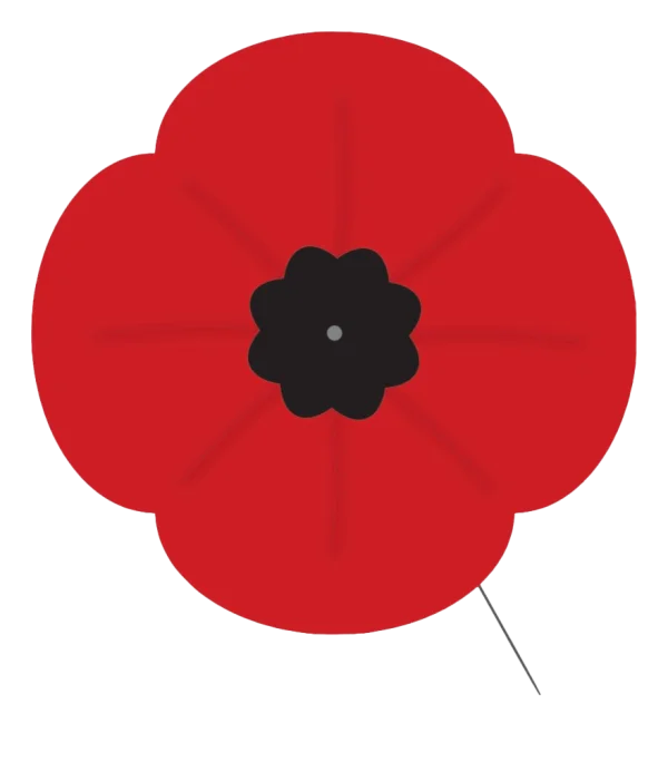 Red Poppy Flower Transparent PNG