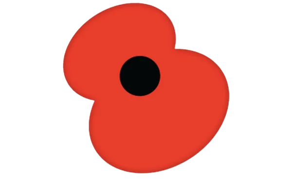 Red Poppy Transparent PNG